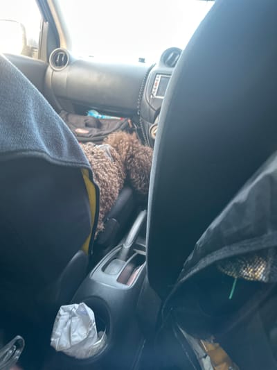 The image shows the interior of a vehicle, possibly a car or truck, with a view angled towards the dashboard and the passenger area. The dominant subjects are a brown, curly-haired dog, likely a poodle mix, nestled in the passenger seat, and parts of the vehicle's interior. The dog appears to be relaxed, with its head resting on something soft.
Visible objects include the car's dashboard, featuring an air vent on the left and a circular cup holder on the right that contains a crumpled white paper bag. A dark-colored dashboard cover is prominent in the foreground, obscuring parts of the view. A black fabric with a textured pattern is draped over something in the upper right corner of the image, with a thin green object protruding from it. The dog is wearing a yellow collar or harness.
The scene is set inside a vehicle. The lighting suggests it is daytime, with bright light coming from outside through the windshield, indicated by the washed-out sky visible on the left. The weather appears clear and sunny. There are no clear indicators of a specific location beyond it being inside a car. The overall mood conveyed is one of a casual journey or waiting period, with the dog appearing content. No readable text is visible in the image.