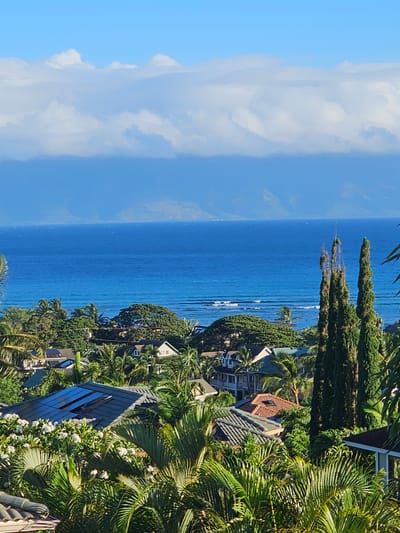 The image depicts a view of Napili, Hawaii, USA, characterized by lush tropical vegetation and coastal scenery. In the foreground, various types of palm trees and flowering plants, including white Plumeria, are abundant, obscuring much of the residential architecture. Several tiled rooftops are visible, with some equipped with solar panels. Beyond the houses and foliage, a wide expanse of the deep blue Pacific Ocean stretches towards a distant, hazy mountain range under a clear blue sky. The ocean exhibits moderate wave activity with whitecaps. A band of white and gray clouds hovers above the mountains, contrasting with the vibrant blue of the sky. The scene is bathed in natural daylight, suggesting it was captured during the day. There are no people or animals visible in the frame.