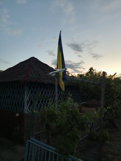 A Ukrainian flag flies above a small, weathered gazebo in Soborne, Ukraine. The flag, a horizontal bicolor of blue and yellow, is partially unfurled and appears to be attached to a metal pole. The gazebo, likely a rustic outdoor structure, features a dark, corrugated metal roof with visible signs of age. Its walls are constructed with a lattice-like pattern of light blue wooden planks. Surrounding the gazebo is lush green foliage, with trees and shrubs visible in the background. The sky above is a soft gradient of blue and grey, with hints of clouds, suggesting either early morning or late evening light. The overall scene conveys a sense of quiet, rural setting, possibly a backyard or a community space.