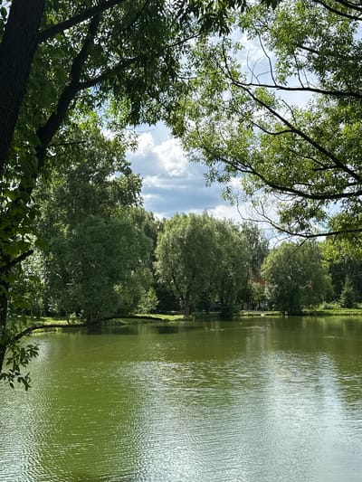 The image captures a tranquil scene by a body of water, likely a pond or lake, in Ерино, Russia. The perspective is from beneath the canopy of lush green trees, with branches and leaves framing the sky and the water. The water itself is a vibrant green, reflecting the surrounding foliage and the sky, with ripples creating a textured surface.
Along the far bank, a dense line of trees forms a natural barrier, with hints of buildings or structures peeking through the foliage in the distance. The sky above is a dynamic mix of blue with scattered white clouds, suggesting it's daytime, likely mid-morning or afternoon, with fair weather. The light filtering through the leaves creates a dappled effect on the ground and water, adding to the serene atmosphere.
The overall mood is peaceful and natural, evoking a sense of being immersed in a park or a nature reserve. There are no discernible people or specific objects in the foreground or mid-ground, placing the focus on the interplay of light, greenery, and water. The image is oriented vertically, with the trees in the foreground and the water stretching into the distance. The scene conveys a sense of quietude and the beauty of a natural landscape.