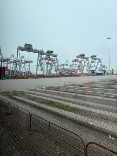 The image depicts an industrial port facility in Maasvlakte, Rotterdam, Netherlands, under a uniformly overcast, light grey sky. The foreground consists of a paved surface made of grey interlocking pavers arranged in a herringbone pattern, bordered by parallel rows of aged, metallic railings, some exhibiting rust. Several raised concrete strips, with sparse grass growing in their depressions, extend into the midground, forming potential vehicle lanes or parking zones. Minor debris, including white refuse, is scattered on the paved surface.

The midground features an expansive paved terminal area populated by multiple large, grey container gantry cranes, some labeled "Konecranes" and "2MTECN". These cranes are positioned over densely stacked arrays of multi-colored shipping containers, displaying various company logos such as "ONE" and "CMA CGM". Colors observed include red, green, blue, and white. Smaller, orange-colored transfer vehicles are visible near the base of the gantry cranes.

The background horizon is dominated by numerous larger, grey quay-side container cranes with their booms extended upwards, suggesting they are prepared for or have just completed ship loading/unloading operations. More stacks of shipping containers are visible beneath and between these cranes, alongside the partial view of large cargo vessels docked at the quay. A tall, multi-lamp light pole stands prominently on the far right. A few small birds are discernible in the upper left sky. No human personnel are visible within the scene.