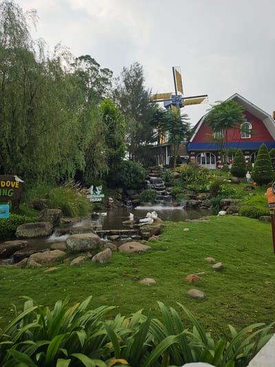 The image depicts a vibrant park setting, possibly a tourist attraction, in Megamendung, Indonesia. A water feature, likely a man-made stream with small waterfalls, cascades through a rocky landscape adorned with lush greenery. Artificial white bird sculptures are placed along the stream. A red barn-like structure with blue trim is visible in the background, complemented by a windmill with yellow and blue blades. Signage is present, including one indicating "Australian Pelican." A portion of another sign referencing "Dove" is visible. The vegetation includes various trees, bushes, and grassy areas. The sky is overcast.