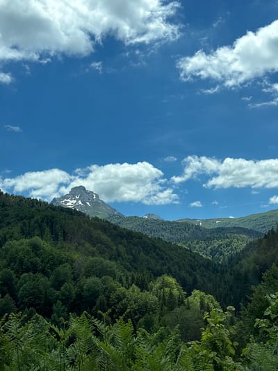 The image depicts a majestic mountain landscape under a bright blue sky with scattered white clouds. In the foreground, lush green ferns create a dense, textured layer. Behind them, a vast expanse of dark green forest covers rolling hills and valleys. Further in the distance, a prominent, rocky mountain peak is visible, capped with patches of snow, indicating a high altitude. The overall scene is one of natural beauty and wilderness, characteristic of a mountainous region. The location is specified as Bare Kraljske, Montenegro, a region known for its mountainous terrain and natural parks.
