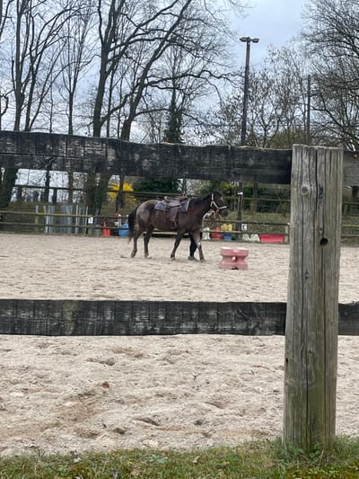 The scene depicts a sandy outdoor riding arena in Oberschaeffolsheim, France, under an overcast sky. A mottled grey horse, equipped with a brown western saddle and a light-colored halter over its bridle, is moving from right to left across the arena. The lower legs of an individual, dressed in dark trousers and shoes, are visible walking beside the horse's left rear flank. To the right of the horse, a pinkish-red, hourglass-shaped plastic or concrete block rests on the sand. The arena is bordered by a dark, weathered wooden fence featuring horizontal planks and vertical posts; a prominent wooden post occupies the right foreground, partially obscuring the view. In the distant background of the arena, a white letter 'E' marker on a dark background is visible, along with other colored equestrian obstacles. Beyond the arena, leafless deciduous trees and some evergreen foliage populate the horizon. A tall utility pole with illumination fixtures stands in the upper right background. A narrow strip of green grass is visible in the immediate foreground.