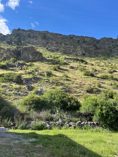 The image depicts a mountainous landscape with a clear blue sky above. The mountainside is covered in dry grass, scattered rocks, and small bushes. There are also some larger rocks and a few trees sparsely growing on the slopes. In the foreground, there is a patch of greener grass, and further back, a low stone wall runs horizontally, interspersed with more vegetation. Power lines are visible stretched across the top of the frame. The scene appears to be a natural, undeveloped area, likely in a rural or mountainous region. The location is identified as Tegenekli, Russia, suggesting a remote, possibly alpine environment. There are no people or animals visible in the image, and no specific actions are being taken.