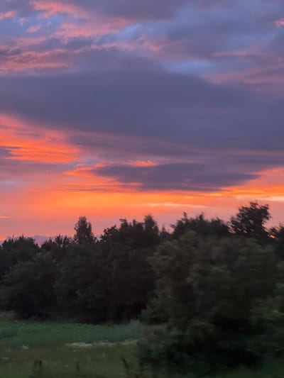 The image depicts a sunset over a rural landscape, likely near Kikino, Russia. The sky is filled with dramatic clouds in shades of orange, pink, and purple, illuminated by the setting sun. Below the sky, a dense line of dark green trees forms a silhouetted horizon. In the foreground, a field of green grass stretches out, with some patches of lighter vegetation or bare earth visible. The overall scene is serene and natural, with no people or man-made structures other than implied by the context of Kikino, Russia. The lighting suggests it is either early morning or late evening.