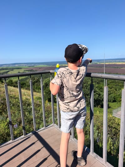 A young boy wearing a black baseball cap, a patterned t-shirt, and light blue shorts stands on a wooden platform with a metal railing. He is facing away from the camera, pointing towards a distant landscape of fields and trees under a clear blue sky. A yellow and blue water bottle is visible on the railing next to him. The platform appears to be an observation deck.