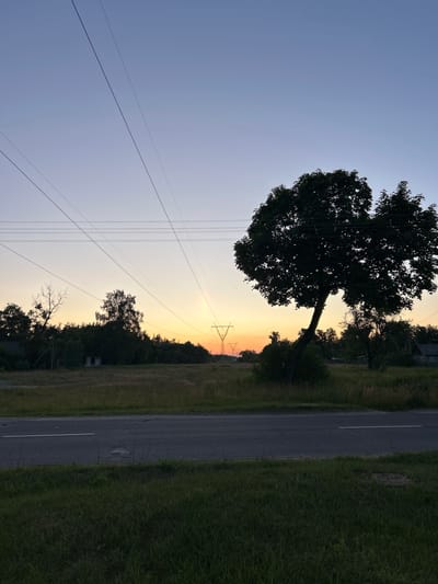 This image depicts a rural roadside scene in the vicinity of Парыцкі сельскі Савет, Belarus, during twilight. A paved road with a white lane marker runs horizontally across the foreground. To the right of the road, a dense patch of grass grows, while to the left, a grassy verge is visible.
In the midground, a flat, open field is sparsely covered with dry grass. Several trees of varying heights and foliage density are scattered across this area. On the far left, a cluster of trees, some with sparse branches, partially obscure a low-lying structure. Further to the right, a prominent, solitary tree with a broad canopy leans significantly to its right. Beyond this, a dense line of trees forms a backdrop. In the distance, silhouetted against the gradient sky, are two power line pylons.
The sky displays a soft gradient of colors, transitioning from a pale blue at the top to hues of orange and yellow near the horizon, indicative of sunset or sunrise. Multiple power lines stretch across the sky, originating from the left and disappearing towards the right, intersecting with the silhouettes of trees and pylons. A few scattered, low-profile structures, possibly rural dwellings, are visible within the tree line in the mid-to-far background. The overall atmosphere is serene and tranquil, characteristic of a rural landscape at dusk. No people are visible in the frame.