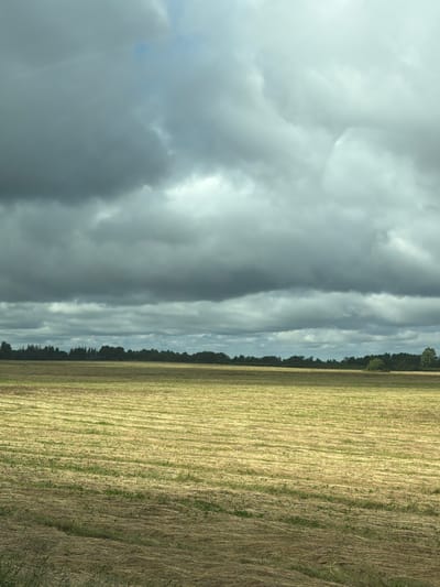 The image shows a wide, flat, harvested field in Perjatsi, Estonia. The field is covered with dry, mown vegetation laid out in horizontal rows, with some patches of green grass. In the distance, a dense line of dark green trees forms a treeline along the horizon. Above the treeline, the sky is filled with heavy, dark gray clouds, with some lighter patches of sky visible. The overall impression is of a vast, open landscape under an overcast sky, suggesting a potential for rain.
