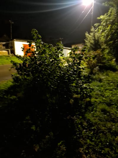 The image depicts a nighttime scene with a bright street light illuminating a bush in the foreground. In the background, a building with an orange door is visible. The scene appears to be located in Novlyanka, Russia, as indicated by the provided context. The overall impression is that of an outdoor, residential or semi-urban environment at night.