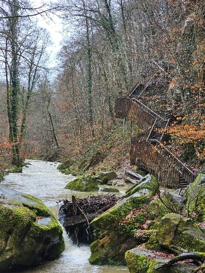 This image depicts a wooded valley scene in Waldbillig, Luxembourg. A turbulent, light brown stream flows from the left foreground to the mid-background, navigating around and over numerous large rocks heavily encrusted with green moss. In the mid-foreground, the stream descends over a dark, composite debris structure resembling a beaver dam or log jam, forming a small cascade. The stream banks rise into steep slopes densely covered with predominantly deciduous trees, most of which are bare or display sparse brown-orange foliage, indicative of late autumn or winter. Some tree trunks are covered in green ivy. On the right slope, a multi-tiered wooden staircase with dark metal handrails ascends into the tree canopy. The overhead sky is overcast and bright. No individuals are present in the scene.