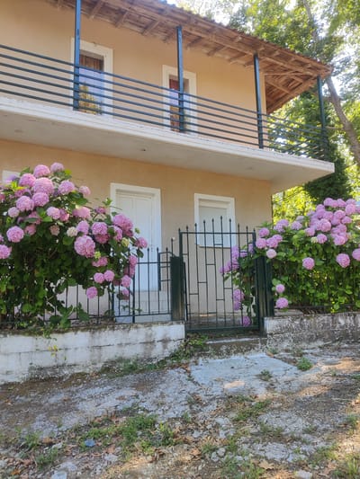 The image shows a two-story building with a light beige exterior. The upper floor has a balcony with a dark railing and a wooden roof supported by dark posts. The lower floor has two white doors and a window with white shutters. In front of the building, there are two large bushes with abundant pink hydrangeas. A dark metal fence runs along the front of the property, separating it from the viewer. The ground in front of the fence is a mixture of concrete, gravel, and dry leaves, with some sparse green vegetation. The overall impression is of a residential property in a somewhat rural or suburban setting, possibly in Greece given the location provided.