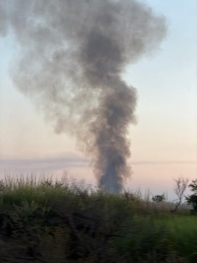 Thick, dark smoke billows against a muted sky, possibly at dusk or dawn. The smoke's origin seems to be obscured by tall grass and foliage along the right edge of the frame. The sky transitions from a light blue/grey to a subtle pinkish hue. The vegetation appears unkempt, lending a sense of wilderness or neglect to the scene. The overall composition is slightly tilted, adding a dynamic feel to the image.