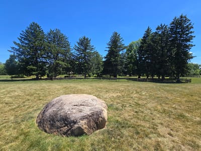 The image shows a large, grey boulder in a grassy field with several evergreen trees in the background under a clear blue sky. A wooden fence runs along the treeline. The scene is a park or a rural area. The location is the Roselle Public Library in Roselle, United States of America.