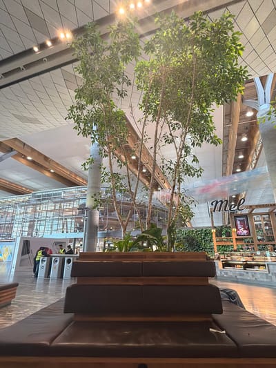 The image shows an indoor scene, likely a public space like an airport terminal or shopping center, with a modern architectural design featuring a white, geometric ceiling and exposed wooden beams. In the foreground, a multi-tiered seating area with dark brown upholstery and wooden accents is visible. A large, potted tree with green foliage is centrally located behind the seating, its branches reaching towards the ceiling.

In the mid-ground, there are several individuals, some wearing high-visibility vests, interacting near a set of recycling bins. Further back, a cafe or food establishment with a vertical green wall display is present, featuring glass display cases filled with food items. A prominent sign with the word "Mel" and "Norwegian" is mounted above the establishment. The background reveals a large, multi-story glass facade of a building, suggesting a spacious interior. The lighting appears to be a mix of natural and artificial sources, creating bright and well-lit conditions. While the image is taken in Gardermoen, Norway, the specific indoor location within Gardermoen is not explicitly stated.