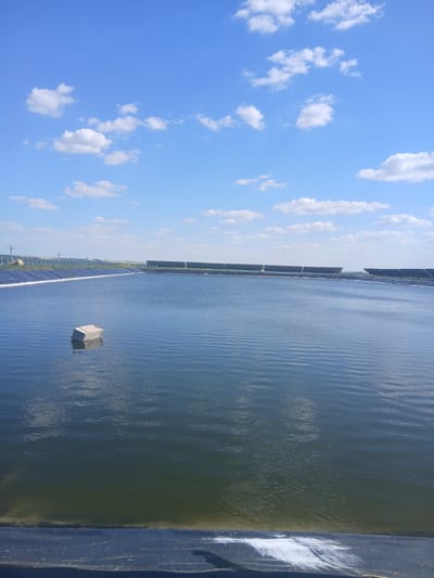 This media file depicts a large, artificial body of water, likely a pond or reservoir, under a clear blue sky with scattered white clouds. The water surface is rippled, suggesting a gentle breeze. Along the far edge of the water, a long row of solar panels is visible, indicating a solar farm or a related facility. The image is oriented vertically.
In the foreground and to the right, a dark, possibly plastic or tarp-like material lines the edge of the water. In the center of the water, a small, white, raft-like object is floating. This object appears to be constructed from interconnected cubes or blocks, possibly for buoyancy or as a platform.
The sky is bright blue, and the clouds are white and fluffy, suggesting fair weather and likely daytime. The overall scene conveys a sense of an engineered environment, possibly for agricultural or energy production purposes, situated in an open area. No people are visible in the frame. There is no visible text in the image. The orientation suggests the camera may have been held in a portrait mode, or the image has been rotated.
