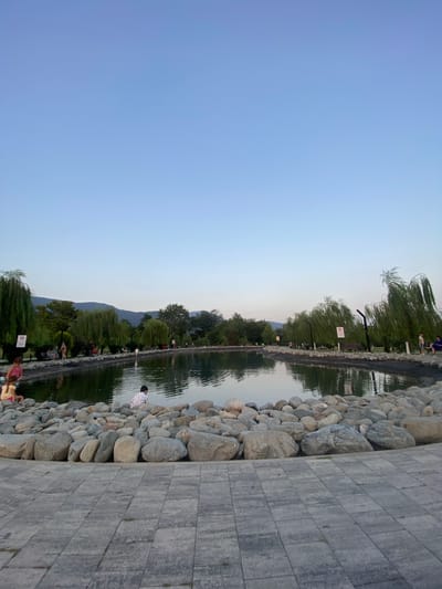This image depicts a park scene in Lagodekhi, Georgia. The foreground features a paved walkway with a circular pattern, leading to a shoreline adorned with large, rounded stones. Beyond the stones lies a tranquil pond, its surface reflecting the clear, pale blue sky and the surrounding greenery.
Along the far edge of the pond, a line of mature trees, predominantly weeping willows with their distinctive drooping branches, creates a lush backdrop. Some of these trees are illuminated by lampposts, indicating the presence of park lighting. In the distance, rolling hills or mountains are visible, shrouded in a light haze.
Several individuals are scattered throughout the park, engaged in various activities. On the left side of the pond, near the foreground, two young girls are seated on the stones, with one appearing to interact with the water. Further along the shoreline, other people are seen sitting on benches or standing, some with children. In the water itself, a young boy in a patterned shirt is visible, seemingly interacting with something near the pond's edge. The overall atmosphere is one of peaceful recreation in a natural setting.