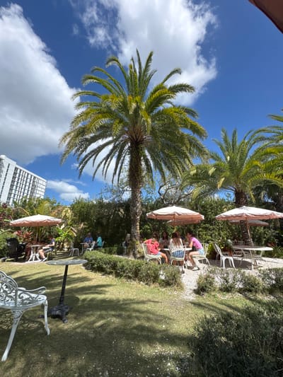 This image depicts an outdoor dining or lounge area in East Naples, United States of America, under a clear blue sky with scattered white cumulus clouds. The scene is dominated by several large palm trees, with one prominent, tall palm tree centrally located, its trunk partially covered in vines. In the background to the left, a tall, multi-story white building with numerous windows is visible.
The environment consists of a well-maintained garden featuring patches of green grass, interspersed with areas of light-colored gravel or small stones, particularly around seating arrangements. Lush green bushes and hedges define various sections of the area, creating a natural boundary.
Multiple groups of individuals are seated at white, ornate outdoor tables with matching chairs. Several light-colored, round patio umbrellas (likely peach or beige) provide shade over some of the tables.
Specifically, from left to right:
* Near the left edge, under an umbrella, two individuals are seated at a white table. A black baby stroller or pram is positioned beside their table.
* Further into the midground, two individuals are seated at another white table.
* In the center-right midground, under a large umbrella, five individuals are seated around a circular white table, appearing to be socializing. One individual wears a pink top and denim shorts, another a striped top, and a third a light-colored top. The chairs are white with decorative backs, and some have light-colored cushions.
* To the far right, another white table with chairs is partially visible under a second umbrella, with at least one person seated.
* In the foreground, a decorative white metal chair with a scrollwork design is positioned on the grass, facing right. Next to it, a dark-colored, round metal table with a central pedestal base stands.
Approximately 15 individuals are visible across the scene, dressed in casual attire, engaged in dining or leisure activities. The setting is brightly lit by natural sunlight, casting distinct shadows on the grass and gravel.