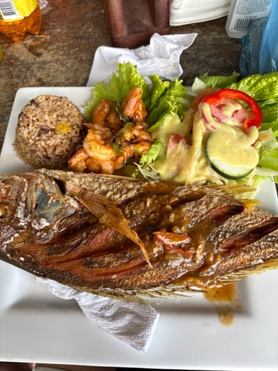 The image displays a meal served on a white rectangular plate, seen from a high-angle perspective, consistent with an informal dining setting in La Ceiba, Honduras. The main subject is a whole, deep-fried fish, positioned horizontally across the lower half of the plate, with its head facing left. The fish exhibits a golden-brown, crispy skin and is partially covered in a thick, light brown sauce containing diced red and dark vegetable pieces.
Above the fish, on the upper left side of the plate, is a mound of brown rice, featuring small yellow inclusions. Adjacent to the rice, in the upper-middle section, are approximately 8-10 cooked, peeled shrimp, seasoned and mixed with visible green vegetable fragments. The upper right portion of the plate contains a salad composed primarily of green leaf lettuce, topped with slices of red tomato, a round slice of cucumber, and red bell pepper rings. The entire salad is generously coated with a creamy, pale yellow dressing.
The plate rests on a textured, brownish-grey surface, suggestive of concrete or stone. In the background, to the upper left, a yellow plastic bottle with an orange label is partially visible. A crumpled white paper napkin and a dark brown wooden object are situated in the upper-middle background. To the far right, a clear plastic bottle with a white label and a blue plastic bag are discernible. There are no individuals present in the frame, and no actions or interactions are depicted.