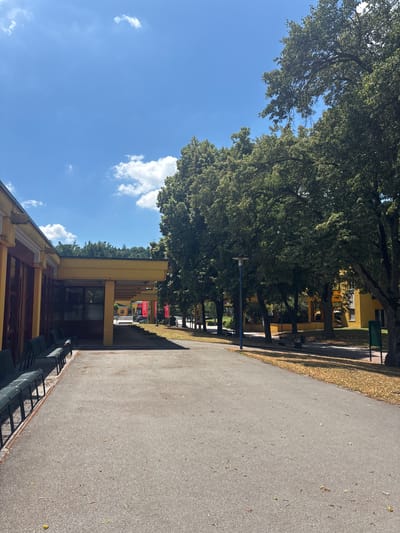 The image displays an outdoor scene with a paved walkway on the right, bordered by a strip of dry grass and fallen leaves. The walkway leads towards a yellow building with a covered walkway or overhang supported by columns. Several dark chairs are lined up beneath this overhang. On the left side of the image, a large, leafy tree with a thick trunk dominates the view, casting shadows. Beyond the tree and building, a clear blue sky with scattered white clouds is visible. The scene appears to be set in a park or public area, possibly a school or community center, given the building's architecture and the presence of seating. The time of day is likely daytime, with sunlight casting distinct shadows. The presence of fallen leaves suggests it might be autumn. There is no discernible activity or people in the image. No text is visible. The overall impression is one of a quiet, outdoor space on a pleasant, possibly autumnal day.