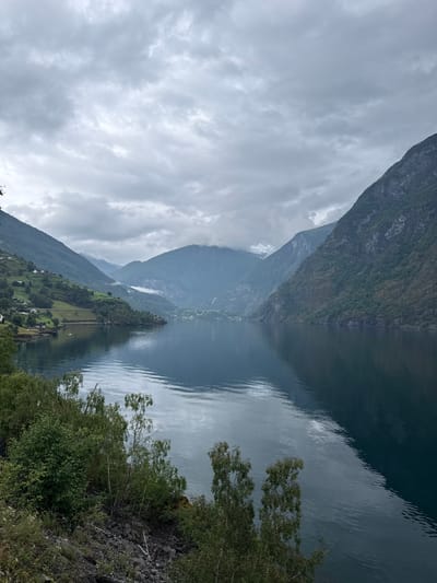 This is a scenic image of the Aurlandsfjord in Flåm, Norway. The fjord is calm and reflects the overcast sky and the surrounding mountains. Steep, green mountains rise on either side of the fjord, with some scattered houses and trees visible on the slopes. The sky is filled with heavy, grey clouds, suggesting a cloudy or rainy day. In the foreground, there is a rocky embankment with dense green vegetation. The overall impression is one of a serene, natural landscape.