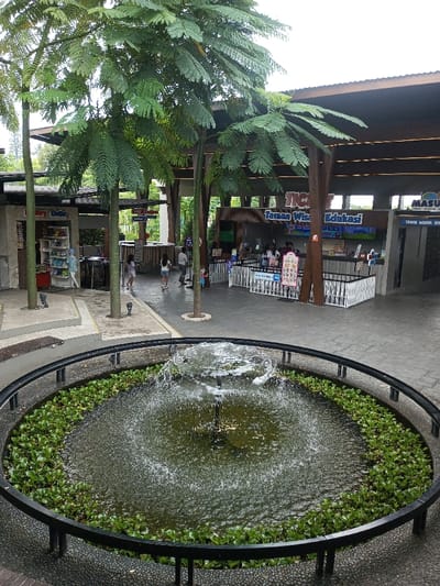 The scene depicts an outdoor public area, identified as being within Tân Kỳ Commune, Vietnam. A circular water fountain, approximately 3 meters in diameter, occupies the lower center of the frame. Water actively sprays from a central jet, forming a dome-like cascade. The fountain basin contains dark water and is partially covered by dense green aquatic plants, possibly water hyacinths, around its inner edge. A black metal railing encircles the fountain. The ground immediately surrounding the fountain is dark, pebbled concrete.
Beyond the fountain, a large paved plaza extends into the midground and background, featuring several tall trees with slender trunks and dense green foliage providing shade. Overhead, a large, dark, sloped roof supported by wooden beams covers a significant portion of the background area. Underneath this roof, multiple service counters are visible, fronted by white metal crowd control barriers. A prominent overhead sign reads "TICKETS" and "Taman Wisata Edukasi," with additional informational panels below. To the far right, an entry point is marked with a sign reading "MASUK" (Enter) and "Taman Wisata Edukasi."
To the left of the main service area, a lighter-colored building houses what appears to be a retail outlet, partially identified by a sign reading "Happy Outlet." Merchandise, including clothing and accessories, is displayed within its open front. Adjacent to this outlet, a multi-tiered concrete seating structure with integrated wooden benches is visible.
Approximately 10-15 individuals, including adults and children, are dispersed across the paved area. Several are near the ticket counters, some appearing to queue or browse, while others are walking casually through the plaza. The sky above appears overcast.