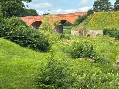 This image shows the Kuldīga Brick Bridge, a historic structure in Kuldīga, Latvia. The bridge is made of red brick and has multiple arched spans. It is surrounded by lush green vegetation, including trees, bushes, and grass. There is a slight embankment on the right side of the bridge, covered in grass and dotted with yellow wildflowers. In the background, a body of water, likely the Venta River, is visible through one of the bridge arches. The sky is partly cloudy with a few patches of blue. The scene appears to be a natural landscape with a man-made structure integrated into it. There are no people visible in the image.