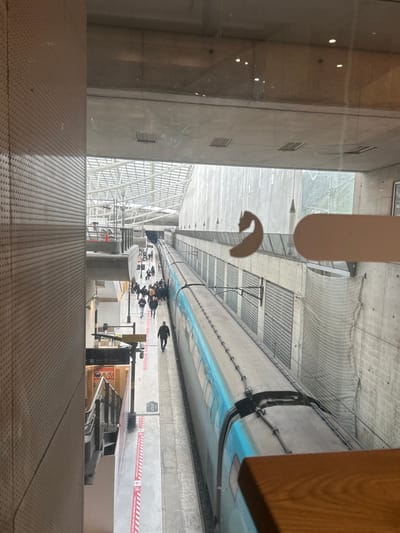 This image captures an elevated, oblique view of a modern train station platform at Charles de Gaulle Airport 2 TGV station, Tremblay-en-France, France. A long, multi-car train, predominantly light blue with grey accents, occupies the tracks on the right, extending into the background. To the left of the train, a concrete platform is visible, featuring red and white striped hazard or guidance markings along its edge.
Numerous individuals are present on the platform, appearing as passengers. They are primarily observed walking in various directions, suggesting boarding, disembarking, or transit activities. Their attire is varied, generally casual. No specific interactions between individuals are discernible from this distance.
The environment features a prominent, textured beige or light brown wall on the left, possibly an acoustic paneling. Above the train and platform, a vast, complex overhead structure consisting of concrete beams, metal framework, and translucent roofing (possibly glass or polycarbonate) allows for natural light penetration. The far right side of the scene reveals a tall, vertical concrete wall with modular paneling, partially covered by a large white safety net. Minimal signage, including a yellow and black directional sign with partially visible French text ("Sortie" - Exit, "Accès" - Access), is located on the platform's left side. The image is taken through glass, evidenced by faint reflections, and a wooden element is visible in the bottom right foreground.