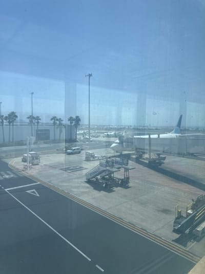 This image shows a view from a window overlooking an airport tarmac. An airplane is visible in the distance. Ground vehicles and equipment, including jet bridges with the "Ryanair" logo, are present. Lines and markings indicate the tarmac's layout. Palm trees and light poles dot the landscape beyond the tarmac, suggesting a coastal location. The overall scene suggests an airport setting in a warm climate, possibly near San Bartolomé, Spain, considering the likely presence of Ryanair operations and the geographic characteristics.