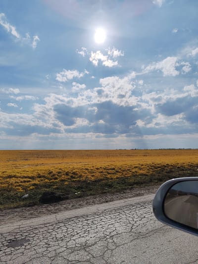 The image displays a rural landscape near Sofronievo, Bulgaria, observed from a moving vehicle. The scene is dominated by a bright, partly cloudy sky, with the sun prominently positioned in the upper center, emitting visible rays through scattered cumulus and stratocumulus clouds. Below the horizon, a vast, flat agricultural field stretches across the middle and background, covered in golden-yellow stubble or dried vegetation, extending to a faint line of trees or structures in the far distance. In the immediate foreground, a heavily cracked and weathered asphalt road surface occupies the left and bottom portions of the frame. Adjacent to the road, a narrow strip of dark soil and sparse green vegetation contains discarded litter, including two white plastic bottles and a dark clump of debris. The lower right corner of the image captures the dark grey casing of a vehicle's side mirror, which reflects a portion of the road behind the vehicle.