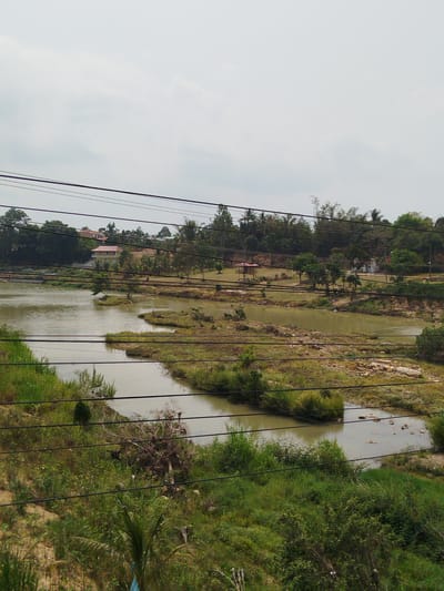 The image depicts a body of water, possibly a lake or river, bordered by green vegetation and trees. The water is murky in color. Power lines traverse the foreground of the image. In the background, a small structure is visible, along with houses and more trees. The location is Đại Ninh, Vietnam. There are no people visible in the image. The scene appears to be taken from an elevated position, looking down at the water and surrounding landscape.