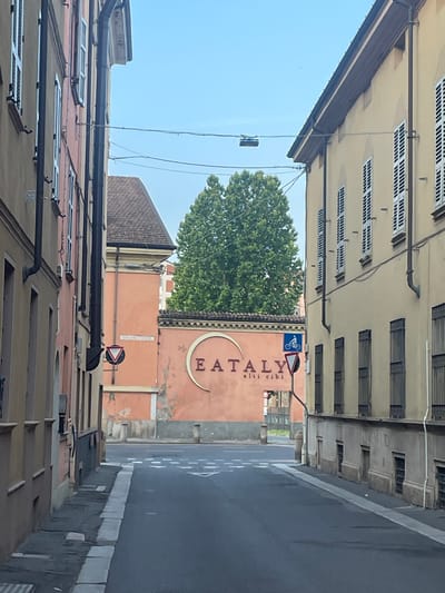 The image shows a street scene in Piacenza, Italy. On the left, a building with light pink and beige facades features multiple windows with closed shutters and drainpipes. On the right, a yellow building has windows with similar shutters and a detailed cornice. In the background, a large tree stands between the buildings. A salmon-colored wall on the right side of the street displays the "EATALY" logo in large, arched letters, with smaller text below that reads "alti cibi". Traffic signs, including a yield sign and a bicycle lane sign, are visible near the wall. The street itself is paved with asphalt and has white directional arrows and lane markings. The sky is clear and blue.