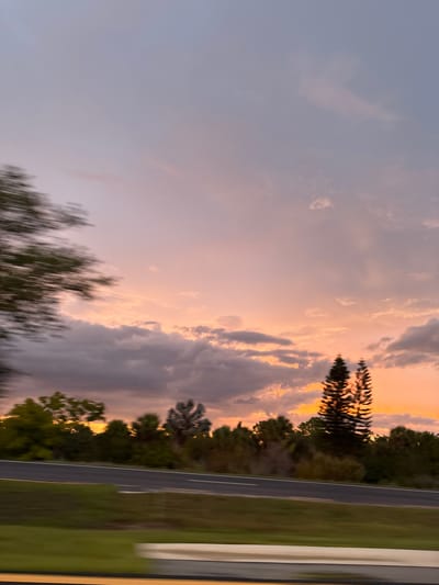 A wide-angle, motion-blurred photograph captures a sunset over a highway in North Port, Florida. The sky transitions from a pale lavender at the top to a vibrant orange near the horizon. Wispy clouds are scattered across the sky, some tinged with pink and orange from the setting sun. A line of trees, including palm trees and pine trees, forms a silhouette against the colorful sky along the edge of the highway. The highway itself is visible in the foreground, with a white dividing line and some green foliage on the side. The blur of motion suggests the photograph was taken from a moving vehicle.