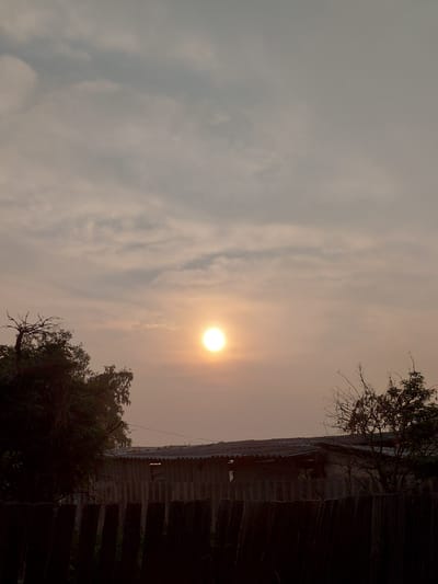 The image depicts a hazy, overcast sky with the sun appearing as a bright, diffused circle near the center. Silhouetted against the sky are the tops of dark green trees on the left and bare branches of a tree on the right. Below the sky, a rustic fence made of vertical wooden planks runs across the foreground, with some barbed wire visible at the top. Behind the fence is a simple, weathered structure with a corrugated roof. The overall impression is of a rural or semi-rural setting, possibly during dawn or dusk, given the quality of light. There are no people or animals visible in the frame. The location is identified as Novoseylovo, Russia.