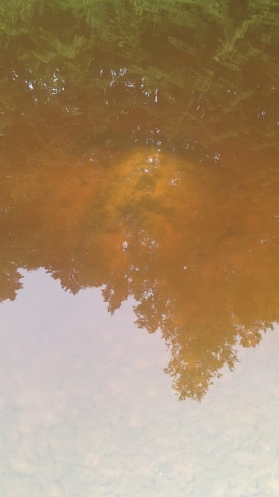 This image shows a reflection of trees and the sky on the surface of water. The water is murky and appears to be a brown or orange color. The reflection of the trees is dark and indistinct, with the branches appearing as silhouetted shapes. The reflection of the sky is lighter, with patches of white and gray that suggest clouds. The image is oriented such that the reflection appears to be right-side up, with the trees at the bottom of the frame and the sky at the top. The image is likely taken outdoors, possibly in a park or a natural setting. The location in the city of Vālodzes, Latvia, is not discernible from the image itself.