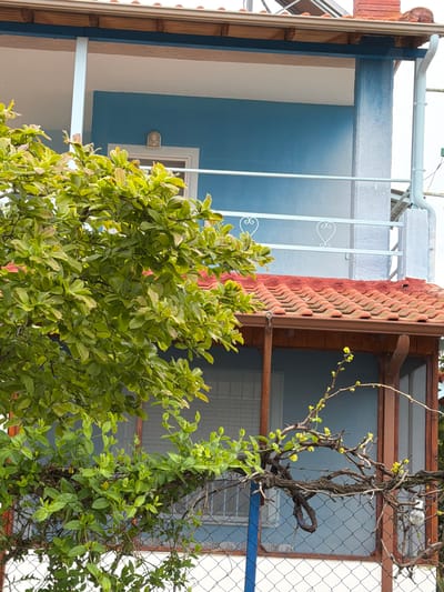 The image shows a section of residential buildings in Megas Alexandros, Greece. The facades are painted in blue, white and grey with traditional terracotta tile roofing on one side. A window with a white frame is visible on the blue wall. Decorative white wrought iron details are present. A dense, leafy bush dominates the foreground obscuring portions of the buildings. A vine with delicate new leaves clings to a wire mesh on the building facade.