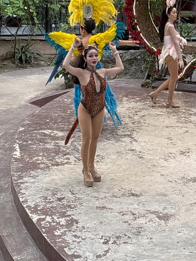 A performer in a leopard print leotard with blue and yellow feather accents poses on a circular stage. She is adorned with a crown, dramatic makeup, and a bracelet. Her pose suggests a theatrical performance. Behind her, another performer in a white bunny costume with a fluffy tail and ears is visible, reclining on a structure decorated with red roses and string lights. The background shows lush greenery. The scene appears to be an outdoor performance, possibly in a park or entertainment venue, given the natural elements and decorative lighting. The overall ambiance suggests a festive or artistic event. No visible text is present in the image. The lighting suggests it could be daytime, with artificial lights also present, hinting at a potential evening performance.