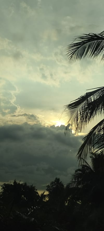 The image captures a cloudy sky with the sun partially obscured by dark clouds. Silhouettes of palm tree fronds are visible in the foreground and midground, framing the sky. The lower portion of the image shows the dark silhouettes of trees and vegetation, suggesting a natural or tropical environment. The overall lighting indicates either early morning or late afternoon. This scene is located in Aluekeujruen, Indonesia. There are no people or specific actions depicted.