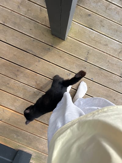 A black cat is lying on its side on a wooden deck. The cat's back is to the viewer, and its head is turned to the left. The cat's tail is raised in the air and its hindquarters are slightly elevated. A person's legs, wearing white socks and light gray sweatpants, are visible in the lower right corner of the image. The deck is made of weathered wooden planks, and a dark vertical post is visible in the upper part of the image. The scene appears to be outdoors.