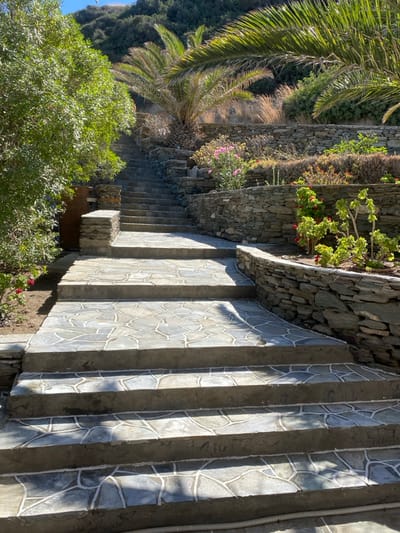 The image depicts an ascending outdoor stone staircase located in Φάρος, Greece, under bright daylight conditions. The staircase, composed of numerous steps, features concrete risers and treads paved with irregular, light and dark grey flagstones separated by white mortar lines. Sunlight casts distinct shadows across the treads from the left.
To the left of the staircase, a dense mass of vibrant green foliage, possibly a large shrub or tree, partially obscures a dark, rectangular panel or gate situated near the bottom of the steps. Red flowers are visible at the base of the foliage.
To the right of the staircase, a series of terraced garden beds ascend the slope, retained by dry-stacked stone walls constructed from grey, layered stone. These terraces contain various plants, including green leafy plants, several clusters of pink flowers, and some plants with reddish blossoms. A large palm tree with prominent fronds stands in the mid-ground among these terraces.
The background consists of a steep, vegetated hillside covered with green trees and sections of dry, light-colored grasses under a clear blue sky. No individuals or animate subjects are present, and no specific actions or interactions are depicted.