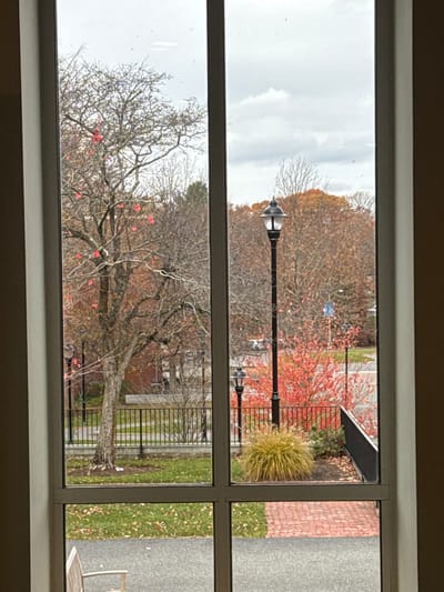 The image displays an outdoor autumnal scene viewed through a multi-pane window, characteristic of a campus or public area within Waltham, United States. The sky is overcast. The interior window frame is visible on the left and right.
Outside the window, a large deciduous tree, primarily bare but with numerous prominent red leaves, occupies the left section. A black, wrought-iron style fence stretches horizontally across the mid-ground. Two black lampposts, one tall and one shorter, with classic lantern fixtures, are visible; the taller one is centered in the middle pane. A vibrant red bush or small tree with dense foliage is situated behind the lampposts. The ground consists of green grass with scattered brown leaves, a paved walkway, and a red brick path to the lower right. A clump of yellow-brown ornamental grass is visible near the brick path. Distant trees display typical autumn coloration under the grey sky. A blue traffic sign is partially visible in the distance. A segment of a light-colored wooden bench is visible at the bottom-left, implying the viewer's indoor or sheltered position. No individuals or overt activities are present.