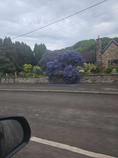 The image, likely taken from a moving vehicle, shows a street in Mostyn, United Kingdom. A gray asphalt road with a solid white line marking the edge is visible. A stone wall runs parallel to the road, behind which there is a house with a chimney, surrounded by trees and greenery, including a bush with bright purple flowers. Overhead power lines are visible against a cloudy sky. The side mirror of the vehicle is in the bottom right corner of the frame. The focus is somewhat blurred, indicating motion.