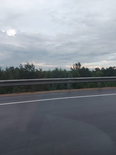 A photograph taken from a moving vehicle captures a view of a grey, cloudy sky above a dense line of dark green pine trees. A metal guardrail separates the road from the trees. The road surface is dark asphalt, wet, and shows faint white road markings. The location is Vasil'evka, Russia.