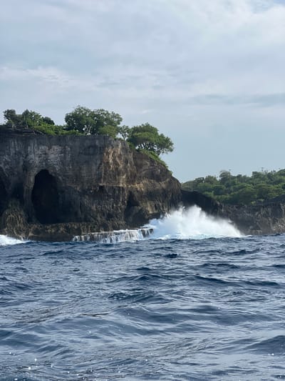 A rocky cliff face, densely covered with trees, rises sharply from the sea. Waves crash against the base of the cliff, creating white foam. A large cave is visible in the rock face. The ocean extends into the distance, its surface textured by wind and waves. The sky is overcast with light clouds. The image is presented vertically.