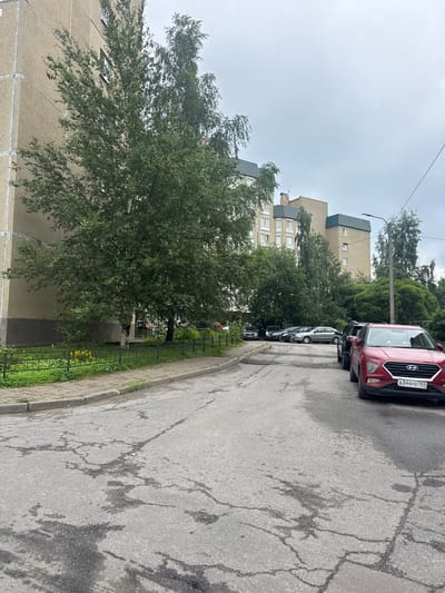 The image depicts a street scene in Bugry, Russia, on an overcast day. A multi-story residential building with a beige facade and green roof is visible on the left, with a large tree in front of it. A paved sidewalk runs alongside the building, separated from the street by a low metal fence and a grassy area with some yellow flowers. The asphalt road in the foreground is cracked and appears wet in places. Several cars are parked along the right side of the street, including a red Hyundai Creta with the license plate "A344YE 147". Other vehicles parked further down the road include a black SUV and several sedans. Dense foliage and more trees line the right side of the street and extend behind the buildings in the background. The sky is cloudy and grey.