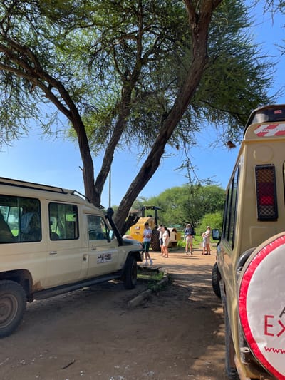 This outdoor image, taken in Kwa Kuchinia, Tanzania, captures a bright, sunny day with a clear blue sky, likely late morning or early afternoon. The scene centers around a safari or tour stop, with several people and vehicles gathered on a dirt path under large, sparse trees.

In the foreground, a light-colored (beige or tan) safari vehicle, resembling a Toyota Land Cruiser, is prominently parked. It features a snorkel air intake, a roof rack, and "LEOPARD TOURS" clearly printed on its side. The vehicle is robust, designed for rugged terrain.

Several large trees with gnarled, dark trunks and light green, feathery foliage frame the left side and top of the image. Small, distinct nests are visible among the branches of these trees, adding a natural detail to the environment.

A group of at least five individuals, appearing to be tourists or safari participants, stands casually on the dirt path. They are dressed in light-colored, warm-weather attire and seem relaxed, possibly listening to a guide or taking a break.

Behind the group, another safari vehicle is partially visible. This vehicle has a distinctive yellow-orange band or sign around its middle, with the text "CAT" discernible, possibly indicating a branding or tour affiliation. Further in the background, another light-colored safari vehicle shows a white spare tire cover with prominent red lettering, where the word "EXPEDITION" is partially visible. The ground is unpaved, consistent with a rural or wilderness setting, enhancing the safari atmosphere.