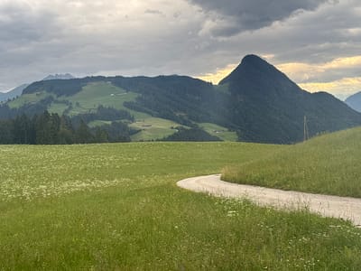 The image depicts a scenic rural landscape in Hygna, Austria. In the foreground, a winding dirt path cuts through a lush green meadow dotted with white wildflowers. The meadow extends towards rolling hills in the middle ground, which are covered in verdant grass and interspersed with patches of dark green coniferous trees. Several scattered farmhouses are visible on the slopes of these hills. Dominating the background is a large, steep mountain, its slopes densely forested with trees. The sky above is overcast with dramatic, dark grey clouds, but breaks in the clouds allow shafts of golden sunlight to illuminate parts of the mountain range and the distant sky, creating a striking contrast. A lone utility pole with wires is visible on the right side of the image, near the base of the mountain. No people or animals are present in the scene.