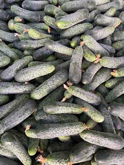 A close-up, overhead view captures a pile of fresh cucumbers in a market setting. The cucumbers are a deep green color and appear to be covered in a light dusting of water or condensation, giving them a dewy appearance. Their surfaces are textured with small bumps. Some of the cucumbers have remnants of orange-yellow flower petals attached to their ends. The lighting is bright and even, illuminating the details of the produce. The image is shot from a top-down perspective, creating a sense of abundance and a unified mass of vegetables. The location in Kushchovskaya, Russia is suggested by the prompt but not visually evident in the image itself.