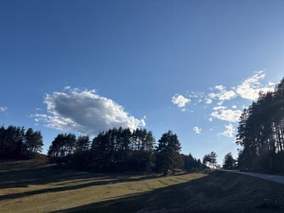 The image displays an outdoor landscape, reportedly located in Kasak, Bulgaria. Approximately two-thirds of the frame is occupied by a clear blue sky, featuring scattered white cumulus clouds and a larger, denser, grey cloud mass positioned towards the left-center. The lower third of the image consists of undulating terrain with dry, green-brown grassy slopes. Dense formations of dark evergreen coniferous trees are present along the upper sections of the hills on both the left and right sides of the frame. A single-lane paved road or dirt track is visible along the right edge, ascending an incline and curving slightly rightward out of the frame. Strong, low-angle sunlight originates from the upper right, casting long, dark shadows across the grassy slopes and illuminating the edges of the clouds and the upper canopy of trees on the right. No individuals, animals, or vehicles are discernible within the scene.
