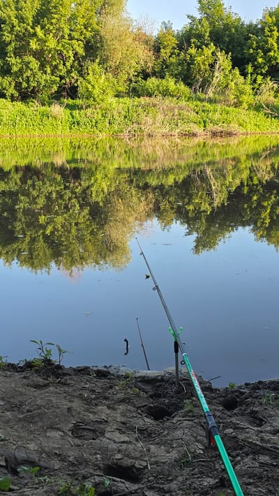 The image shows a body of water with reflections of lush green trees and vegetation on the opposite bank. In the foreground, a fishing rod is propped up on a muddy bank. Another fishing rod is visible in the water. The scene appears to be a serene natural setting, likely a lake or river, with no people or animals present. The environment suggests a warm, sunny day. Given the prompt's inclusion of "the city of Круглоозерное, Kazakhstan", it is implied that this location is within or near this geographical area.